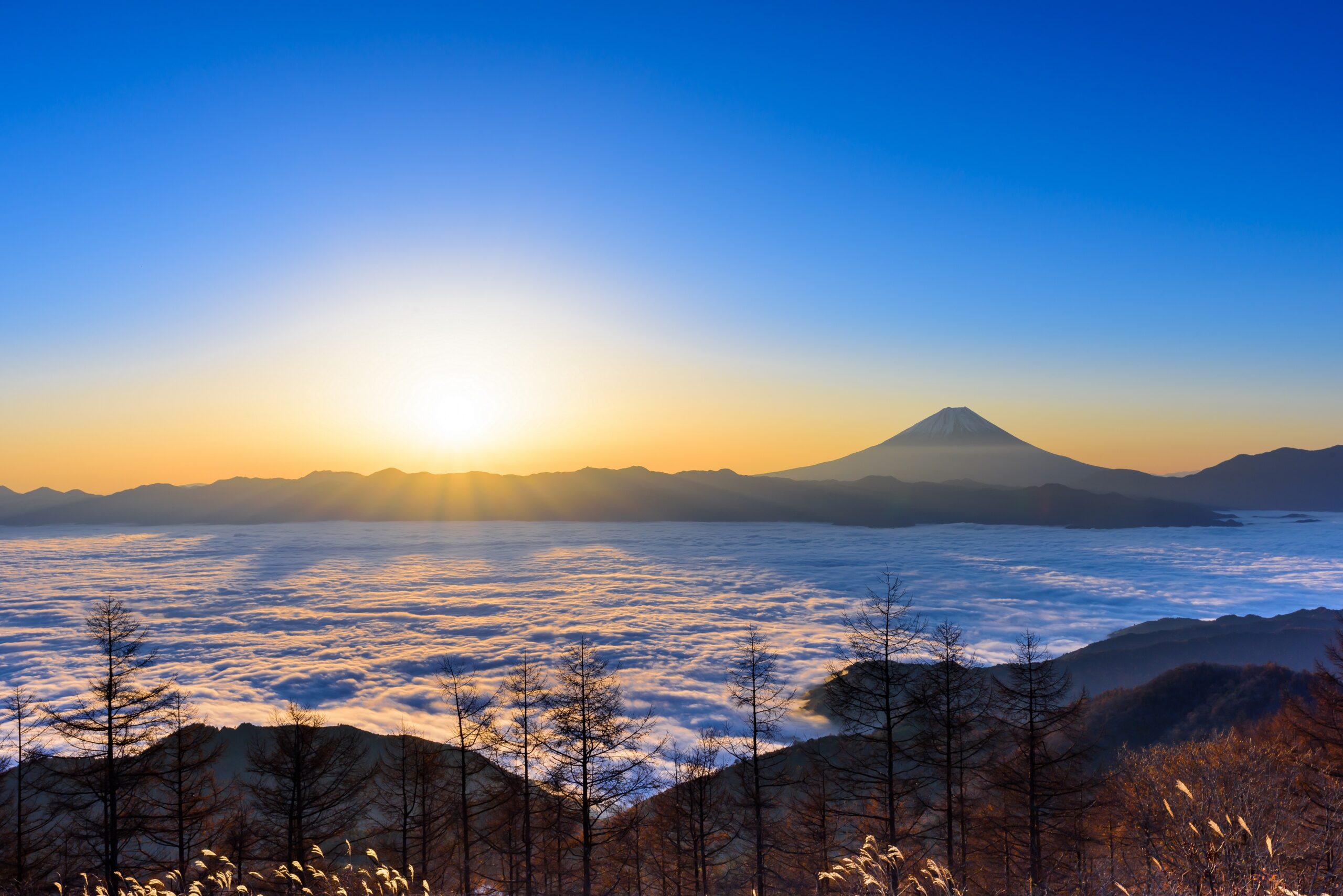 年頭所感